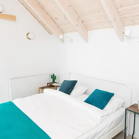 Zatoka Mew Władysławowo