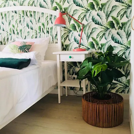 Zatoka Mew Władysławowo