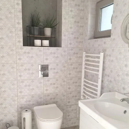 Zatoka Mew Władysławowo