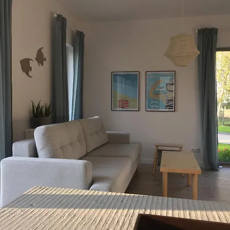 Zatoka Mew Orman Evi *