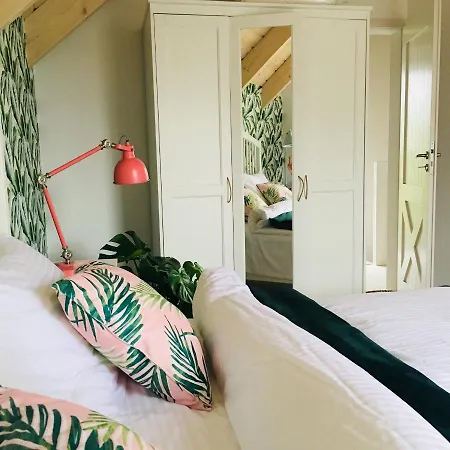 Zatoka Mew Orman Evi Władysławowo