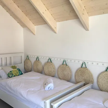 Zatoka Mew Władysławowo