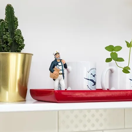 Zatoka Mew Władysławowo