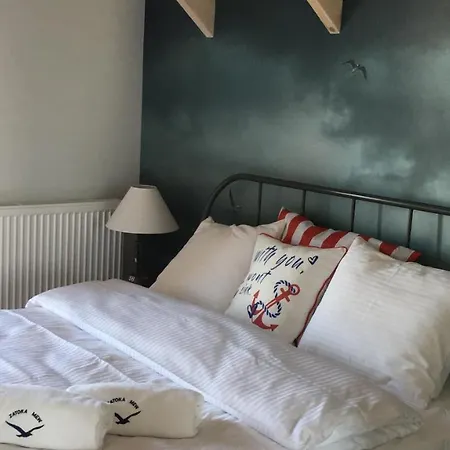 Zatoka Mew Orman Evi