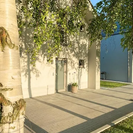 Zatoka Mew Orman Evi