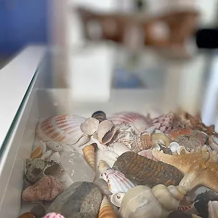Domek letniskowy Zatoka Mew Władysławowo