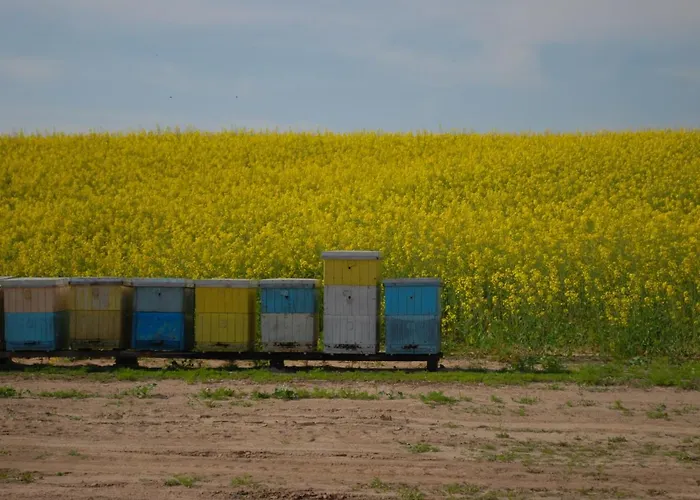 Zatoka Mew * Władysławowo