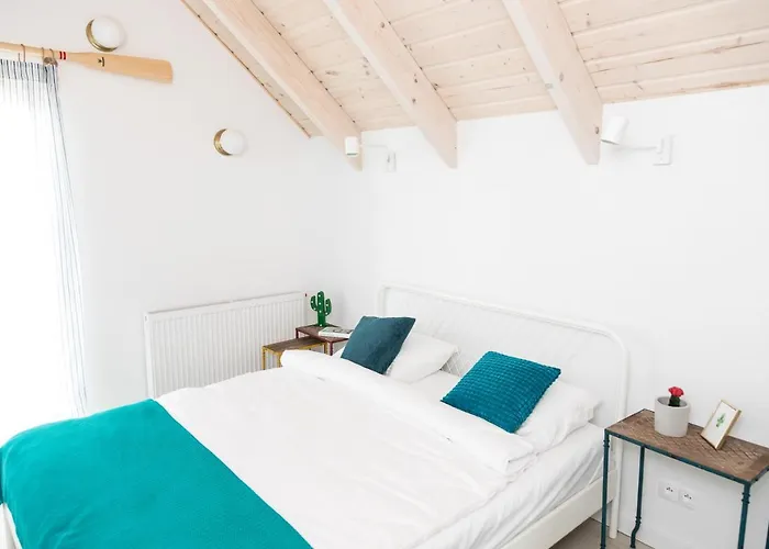 Zatoka Mew Władysławowo