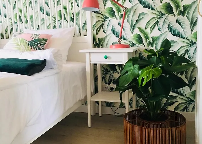 Zatoka Mew Władysławowo