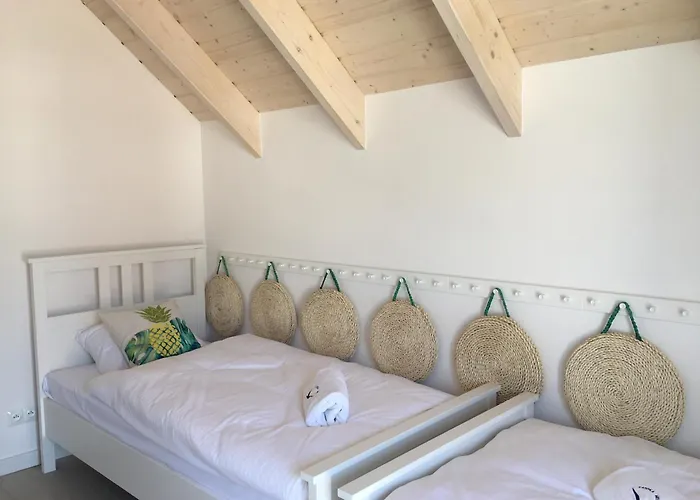 Zatoka Mew Władysławowo