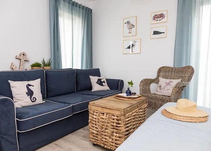 Zatoka Mew Władysławowo