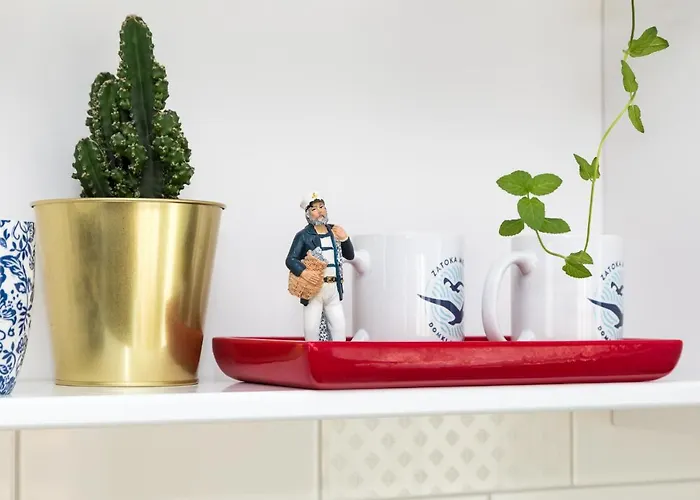 Zatoka Mew Władysławowo