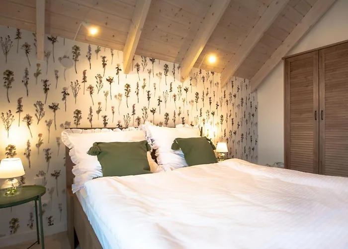 Zatoka Mew * Władysławowo